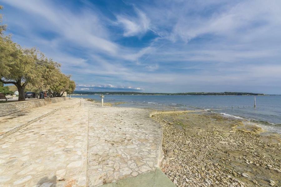 Apartment Lion Novigrad (Istria) Exterior photo